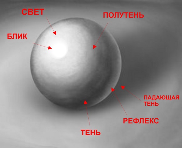 Понятие терминов тень, светотень, рефлекс, блик. Как наложить тени на рисунок правильно